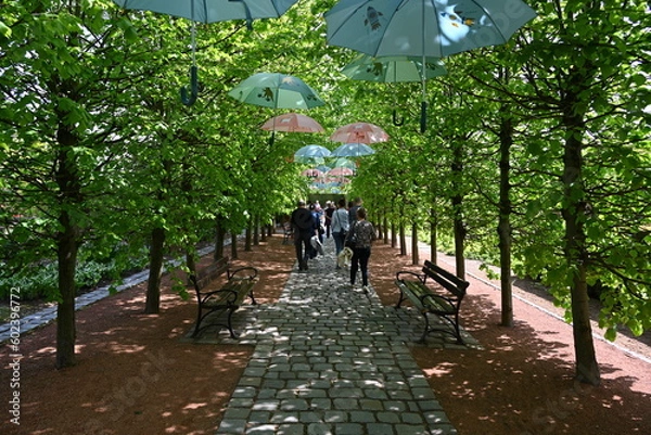 Obraz Garden colors