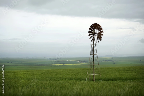 Fototapeta windmill in field