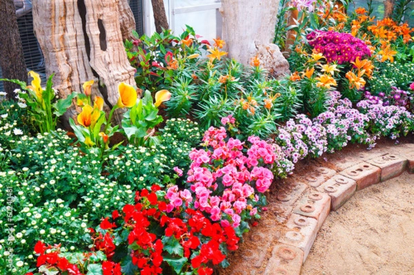 Obraz way in the garden