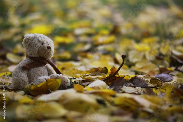 Fototapeta Adorable brown stuffed toy teddy bear with yellow maple leaf on head sits on dry orange leaves pile on ground in autumn park on nice sunny day close view. back to school concept.