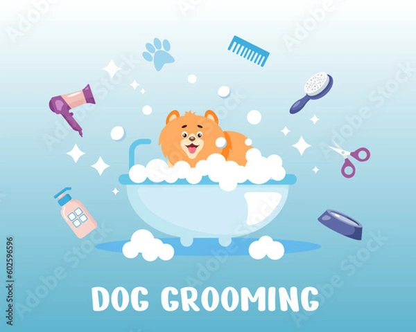 Fototapeta A small cartoon dog is sitting in a bubble bath surrounded by grooming tools. The concept of grooming salon. Vector web banner for animal care