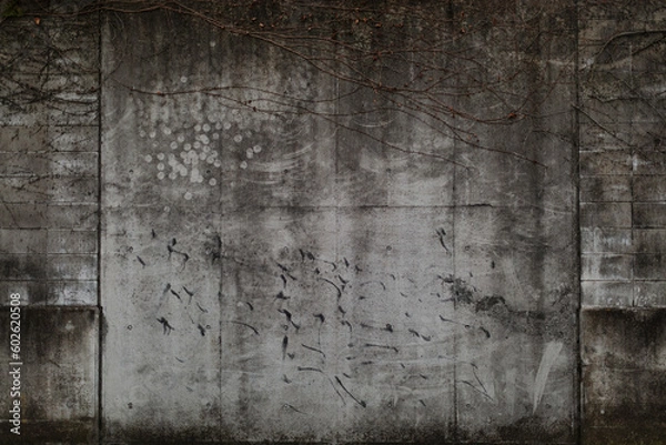 Fototapeta 汚れたコンクリートの壁
