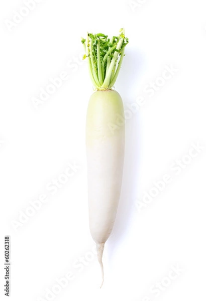 Obraz Japońska biała rzodkiew