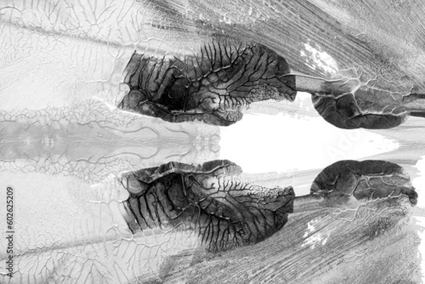 Fototapeta black white abstract acrylic painting color texture on white paper background by using rorschach inkblot method
