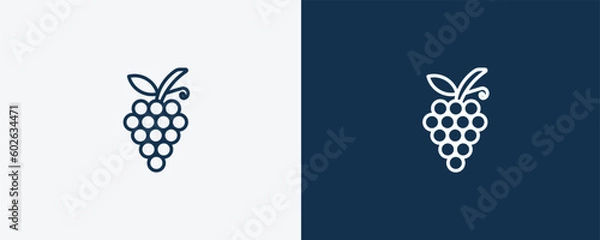 Fototapeta grapes icon. Outline grapes icon from vegetables and fruits collection. Linear vector isolated on white and dark blue background. Editable grapes symbol.