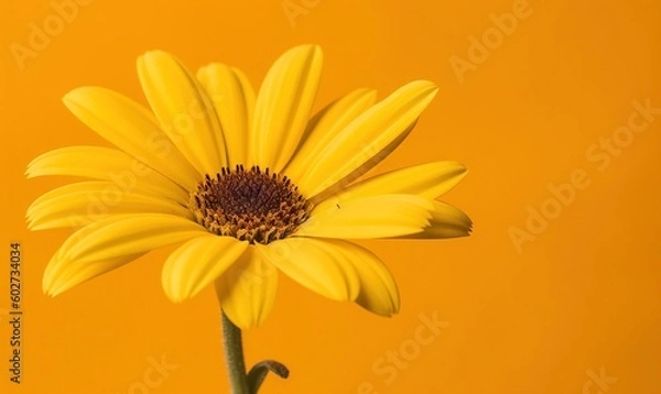Fototapeta  a yellow flower with a yellow background in the foreground.  generative ai