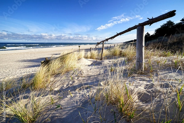 Obraz Sandy beach by the sea