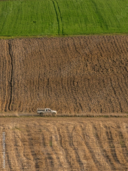 Obraz Agricultural Simplicity