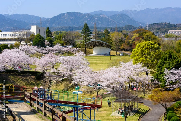 Fototapeta 春の花