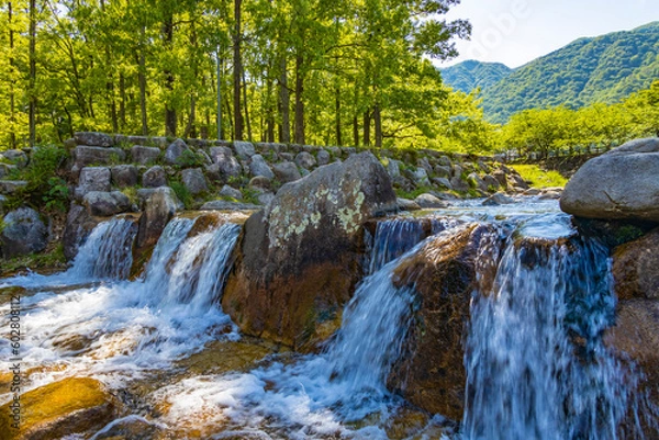 Fototapeta 初夏のマキノ高原