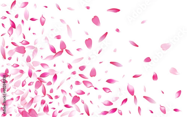 Fototapeta White Cherry Petal Vector White Background.