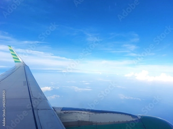 Fototapeta Airplane wing view from windows while flying in the air among the clouds and blue sky