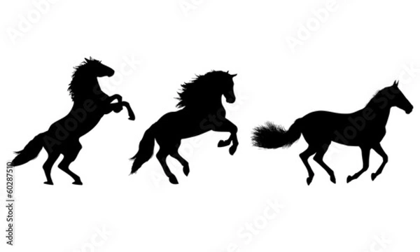 Obraz Horse jump silhouettes