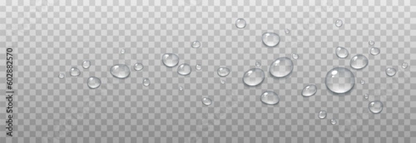 Fototapeta Vector drops of water. Drops png. Drops on the surface, on the glass png. Drops after rain. Condensation on the surface, on the glass.