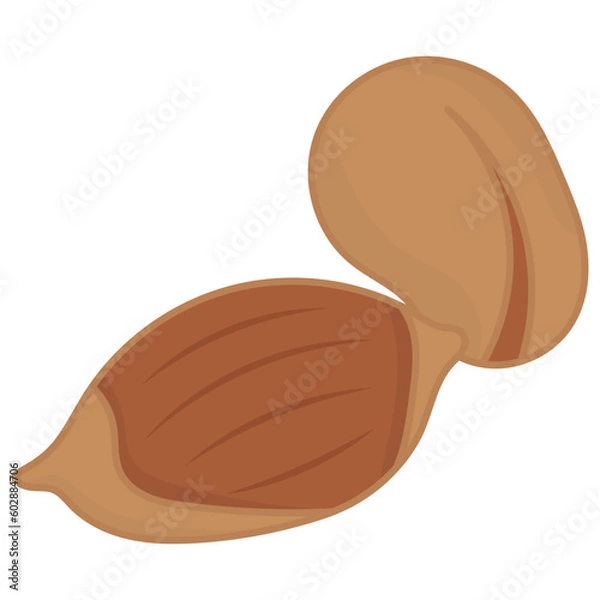 Fototapeta Nut Types Food Pecans