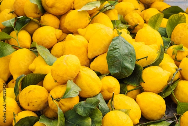 Obraz Pile of lemons in the farmer's market of Puglia Italy