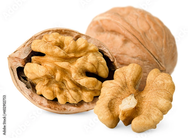 Fototapeta walnut, peeled and in shell, on a white isolated background
