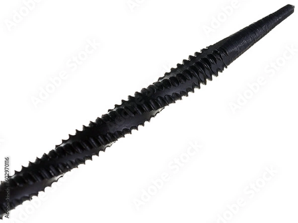 Obraz black zipper isolated on white