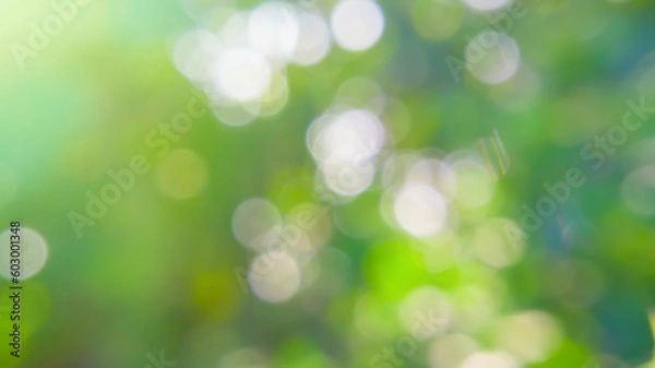 Obraz blurry nature background. tropical nature particle bokeh background template concept