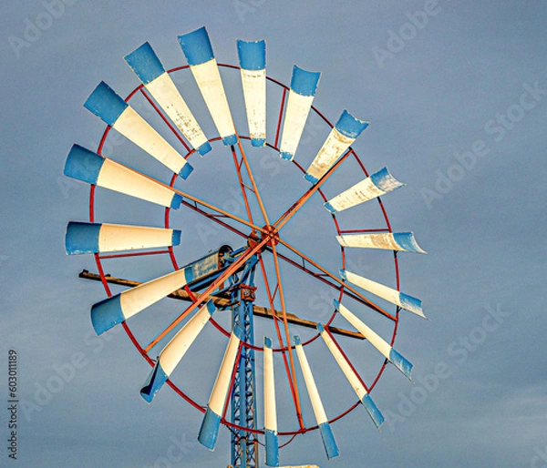 Obraz Windrad auf Mallorca