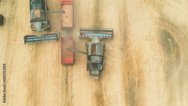 Fototapeta Aerial shot from above harvesters gathering crops from agricultural fields. Global food crisis and grain supply chains
