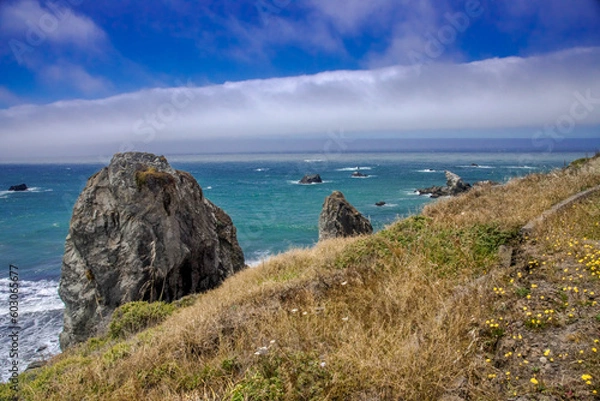 Obraz Bodega Bay Fence Post Coastline