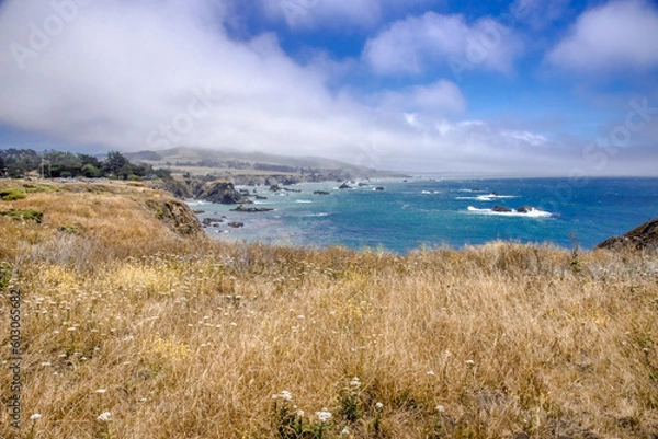 Obraz Bodega Bay Fence Post Coastline