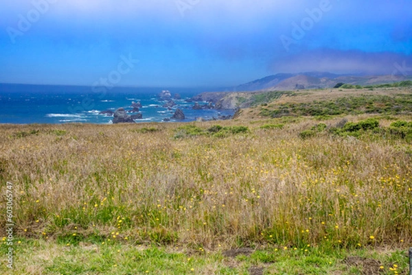 Obraz Bodega Bay Fence Post Coastline