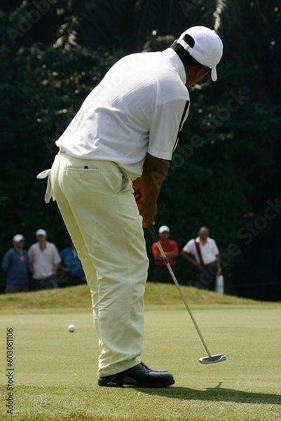 Fototapeta A golfer playing golf in the field.