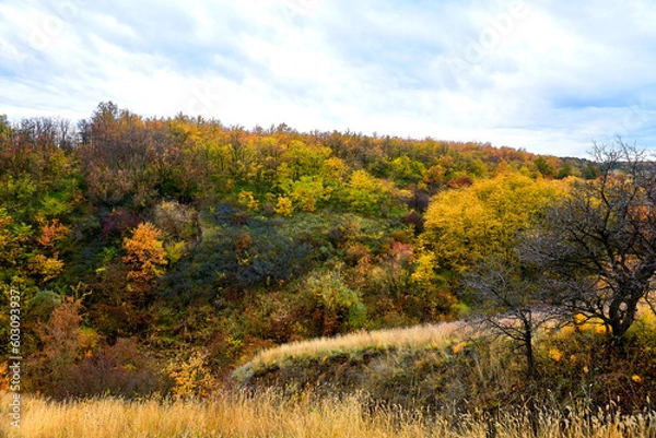 Fototapeta Autumn forest landscape in the mountains with blackthorn bushes and blue sky.