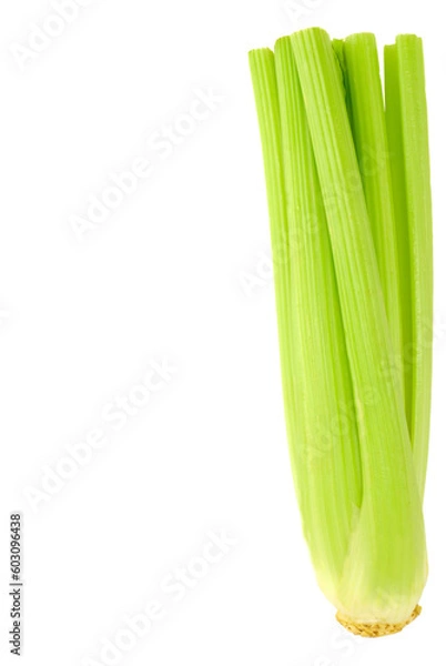 Fototapeta green celery