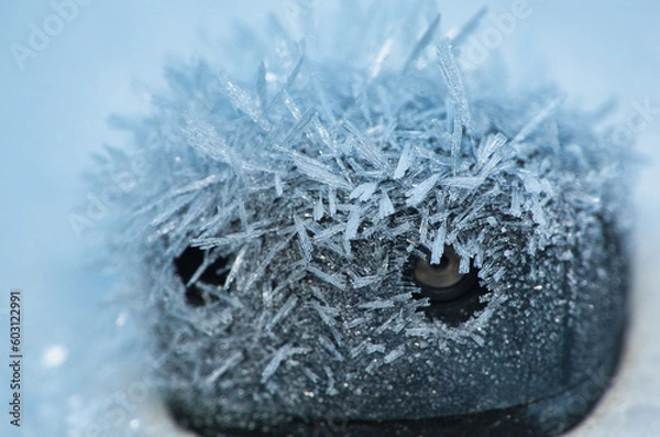 Obraz Givre portrait