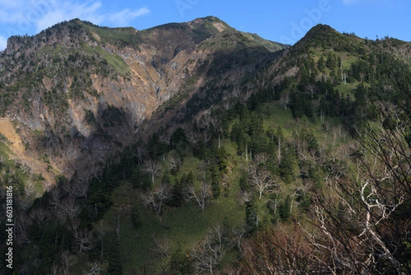 Obraz 剣ヶ峰山から武尊神社に向かう登山道から見上げた晩秋の武尊山