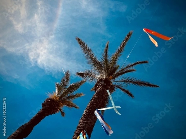 Obraz palm tree on blue sky background