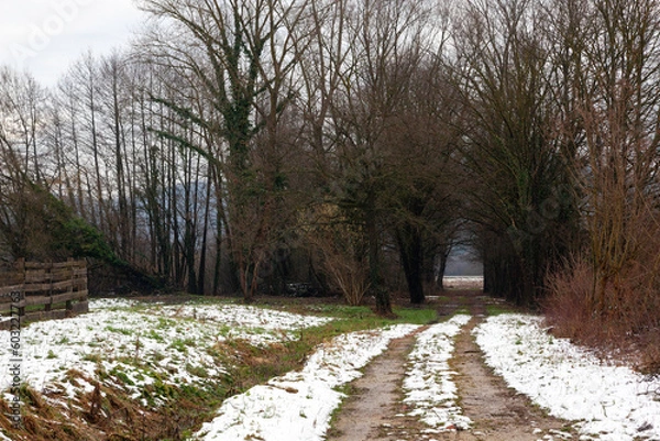 Obraz path in the snow