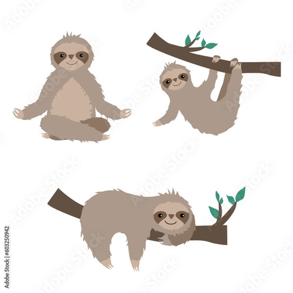 Fototapeta Set of sloths, sloths, sloth on branch, chill sloth, meditating sloth, cute sloths, cute sloth, cartoon sloth, baby sloth,