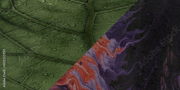 Fototapeta Burned and ripped paper texture background