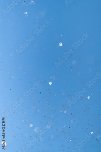 Fototapeta 水しぶき