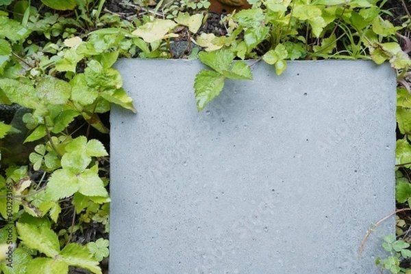 Fototapeta ガーデニング　サイン　看板　三つ葉　コピースペース