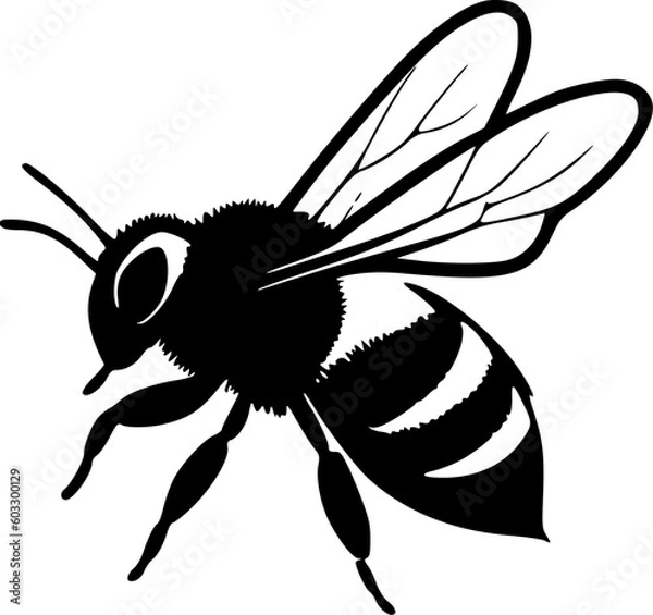 Obraz Honeybee | Black and White Vector illustration