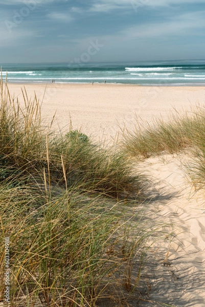 Fototapeta Beach nature landscape in the morning, oceanside and path to sandy coastline and big ocean waves in Portugal