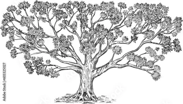 Fototapeta Beautiful family tree with many elements. Large detailed vector illustration isolated on white. Usage: genus tree, background, design.