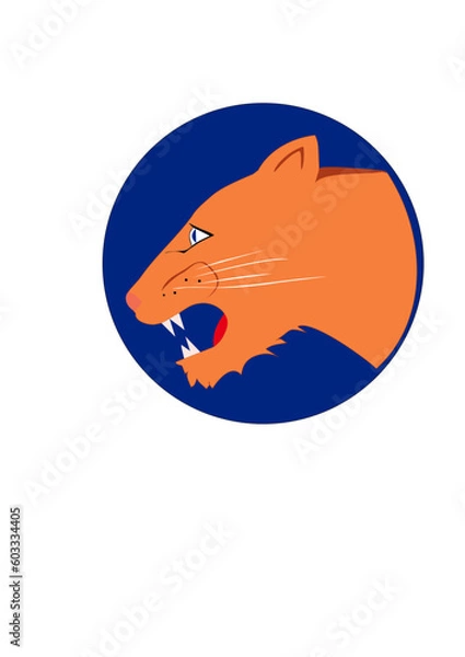 Fototapeta roaring tiger