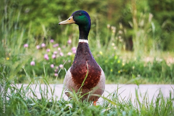 Obraz Auf Augenhöhe