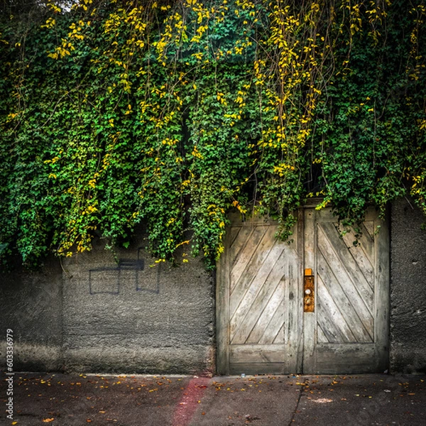 Obraz Verwunschenes Tor