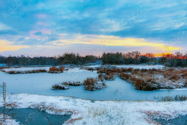 Obraz Plessenteich im Winter