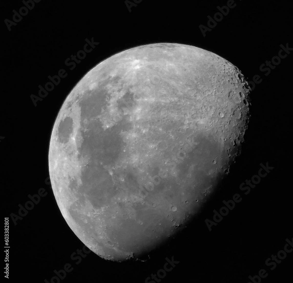 Obraz moon in the night