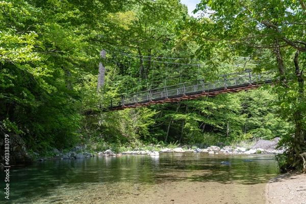 Obraz 木の俣渓谷と木の俣園地の巨石吊橋・那須塩原