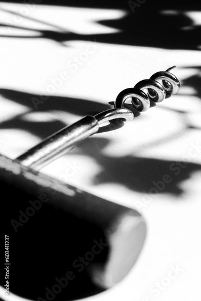 Obraz calligraphy pen