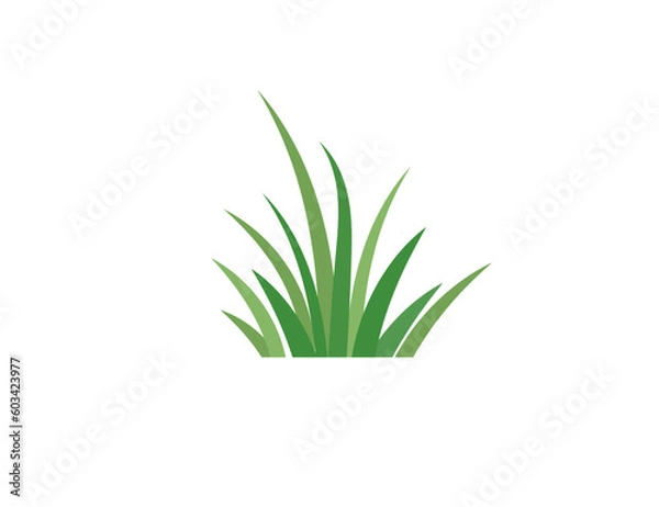Fototapeta Flat green grass. Gazon. Vector icon. web version.
